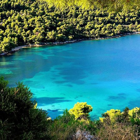 Villa Dora Zuljana Peljesac Croatia ภายนอก รูปภาพ